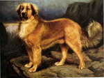 dog-painting-968