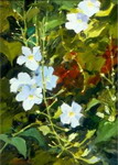 Flower-painting-704