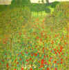 Field of Poppies